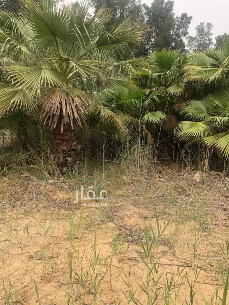 أرض للبيع في شارع طريق ابو حدرية, مدينة الجبيل, المنطقة الشرقية 1 صورة