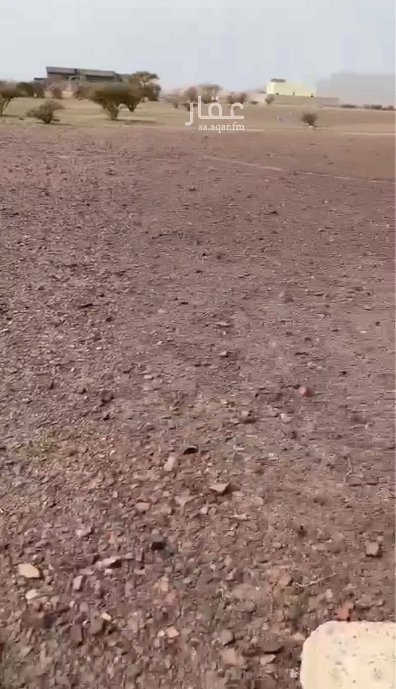 أرض للبيع في شارع إبراهيم السبعان, حي الصويدرة, مدينة المدينة المنورة, منطقة المدينة المنورة 1 صورة