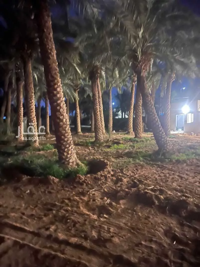 محل للإيجار في شارع عمرو ابن قيس ابن زائدة, حي الصقورية, مدينة المزاحميه, منطقة الرياض 1 صورة