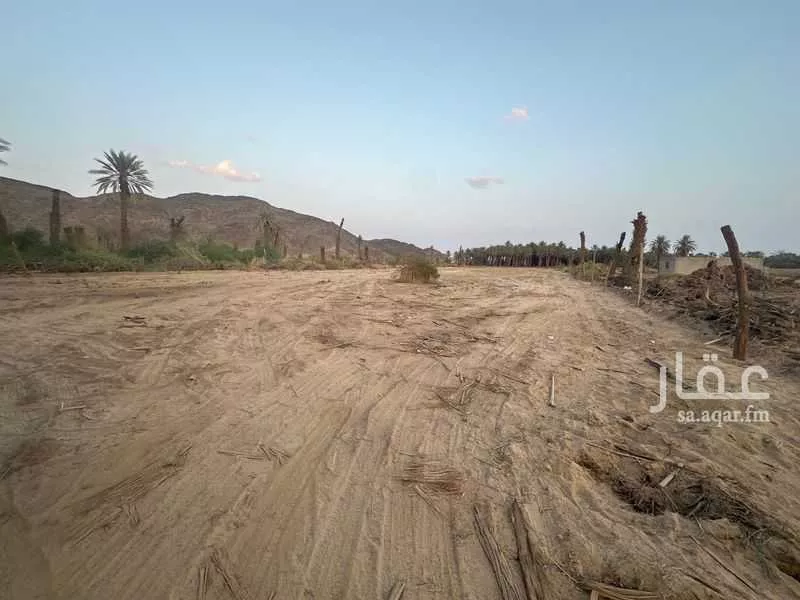 مزرعة للبيع في شارع خالد بن عبدالعزيز ، بيشة ، بيشة 1 صورة