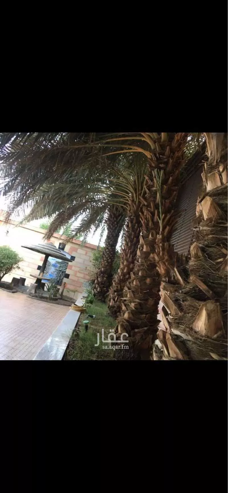 فيلا للإيجار في شارع عبدالمحسن بن عبدالعزيز, حي الروابي, مدينة المدينه المنوره, منطقة المدينة المنورة 1 صورة