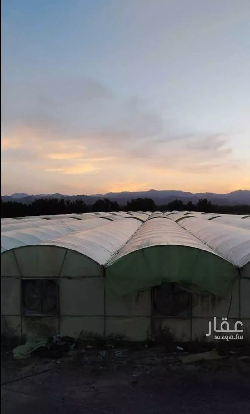 مزرعة للبيع في شارع ضواحي 270, حي المليليح, مدينة المدينه المنوره, منطقة المدينة المنورة 1 صورة