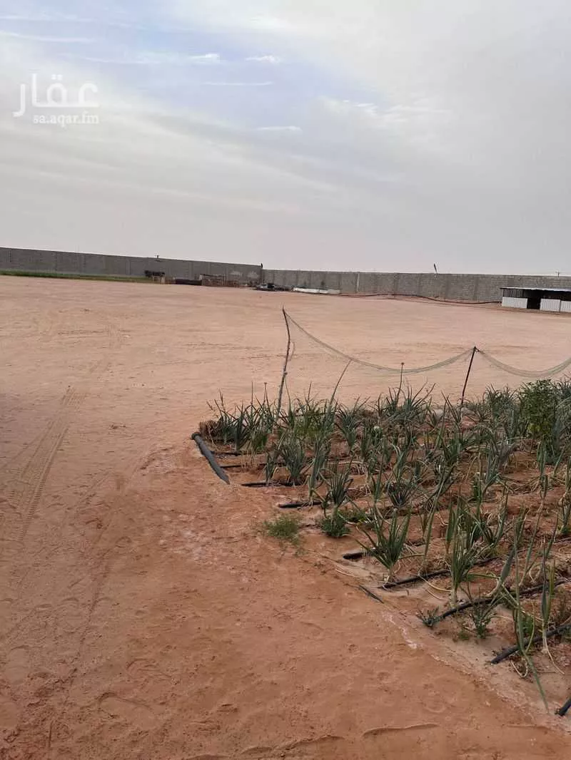 أرض للإيجار في شارع الرفايع 1987, حي الرفايع, مدينة الخرج, منطقة الرياض 1 صورة