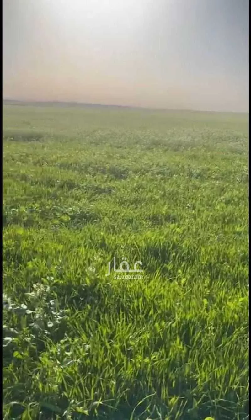 مزرعة للبيع في شارع الملك عبد العزيز, حي المربع, مدينة المربع, منطقة القصيم 1 صورة