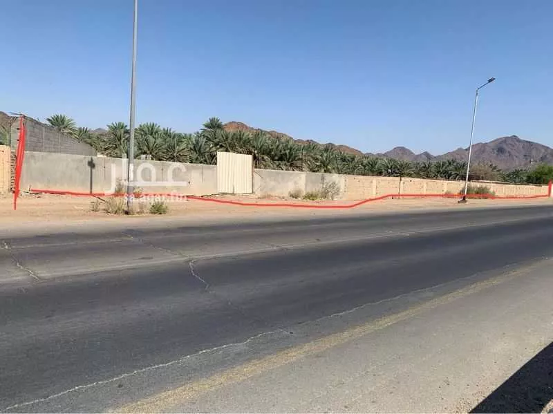 مزرعة للبيع في شارع عثمان ابن عفان, حي وادي الحمض, مدينة المدينه المنوره, منطقة المدينة المنورة 1 صورة