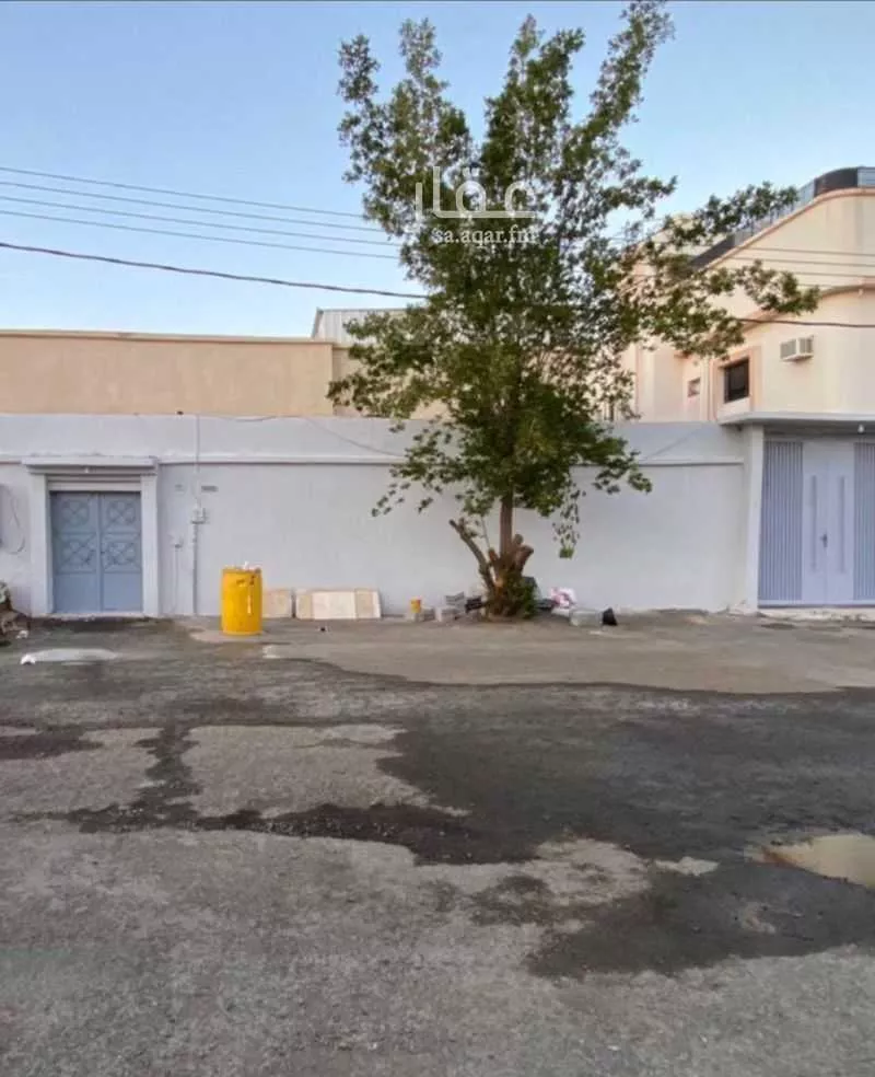 دور للإيجار في شارع خراشه بن الحارث المرادي ، حي المطار ، حائل ، منطقة حائل 1 صورة