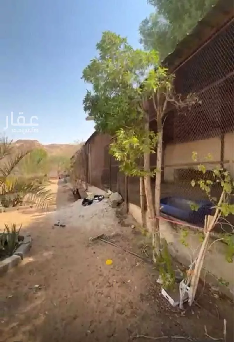 استراحة للإيجار في شارع قصور ال مقبل 14, حي قصور ال مقبل, مدينة مزارع البطين ومزرعه دواجن, منطقة الرياض 1 صورة