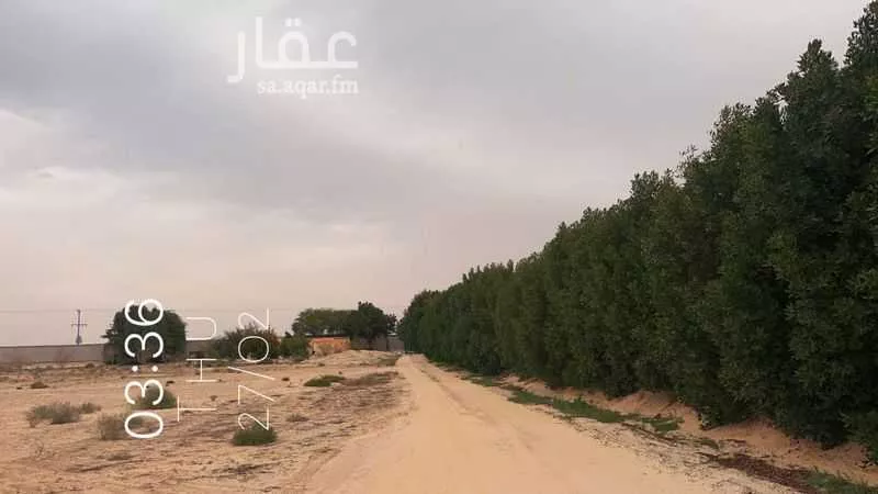مزرعة للبيع في حي السديره, مدينة السديره, المنطقة الشرقية 1 صورة