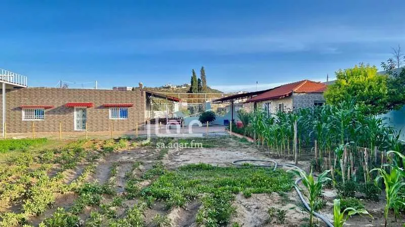 مزرعة للحجز في شارع 28 الروابي ، حي الروابي ، النماص ، النماص 1 صورة