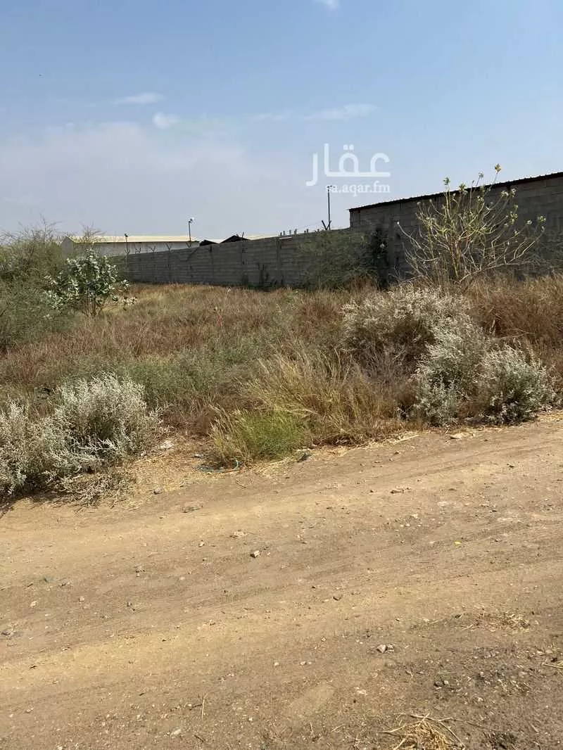أرض للبيع في شارع الملك عبدالعزيز, حي حله يحي جدع, مدينة حله يحي جدع, منطقة جازان 1 صورة