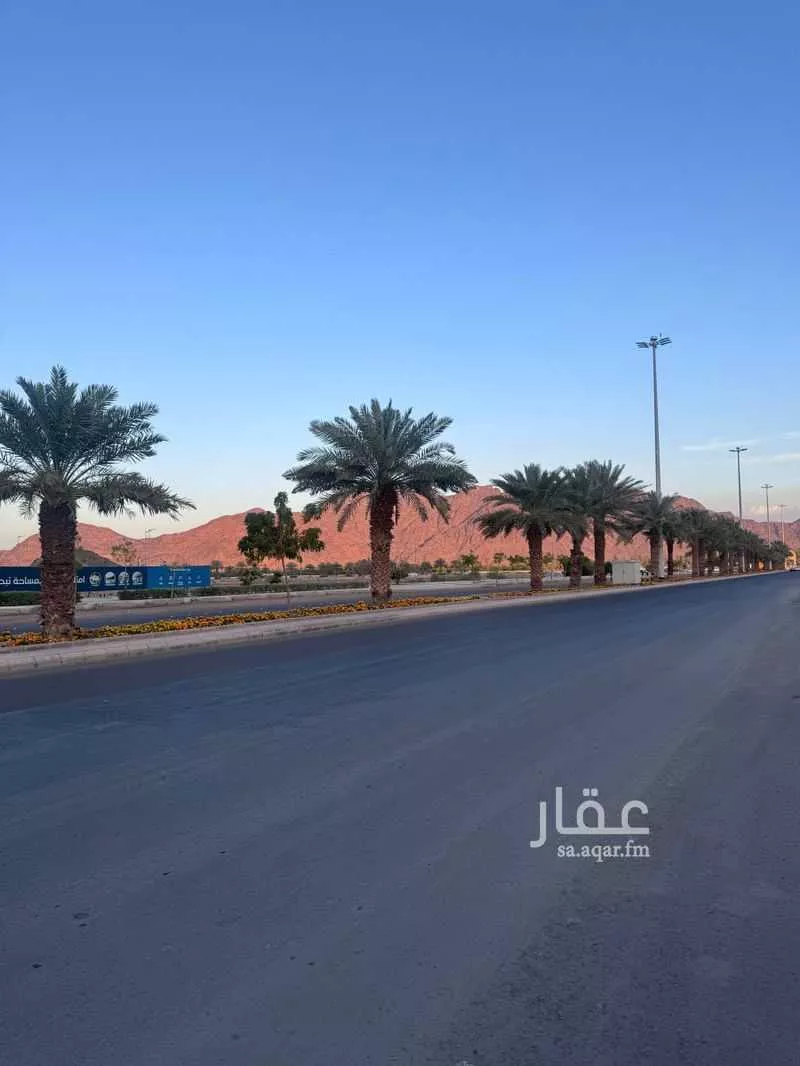 أرض للبيع في شارع زيد بن المزين, حي الزهرة, مدينة المدينه المنوره, منطقة المدينة المنورة 1 صورة