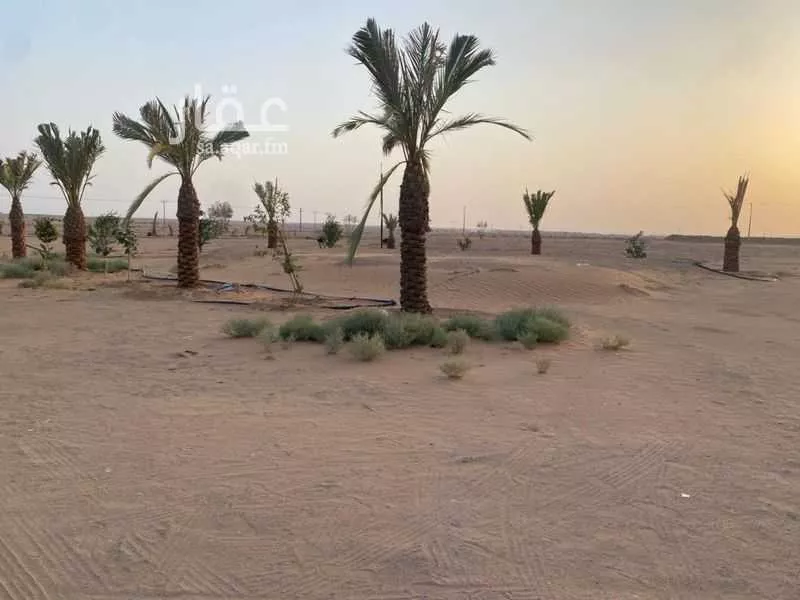 أرض للإيجار في حي حلوان, مدينة حلوان, منطقة الرياض 1 صورة