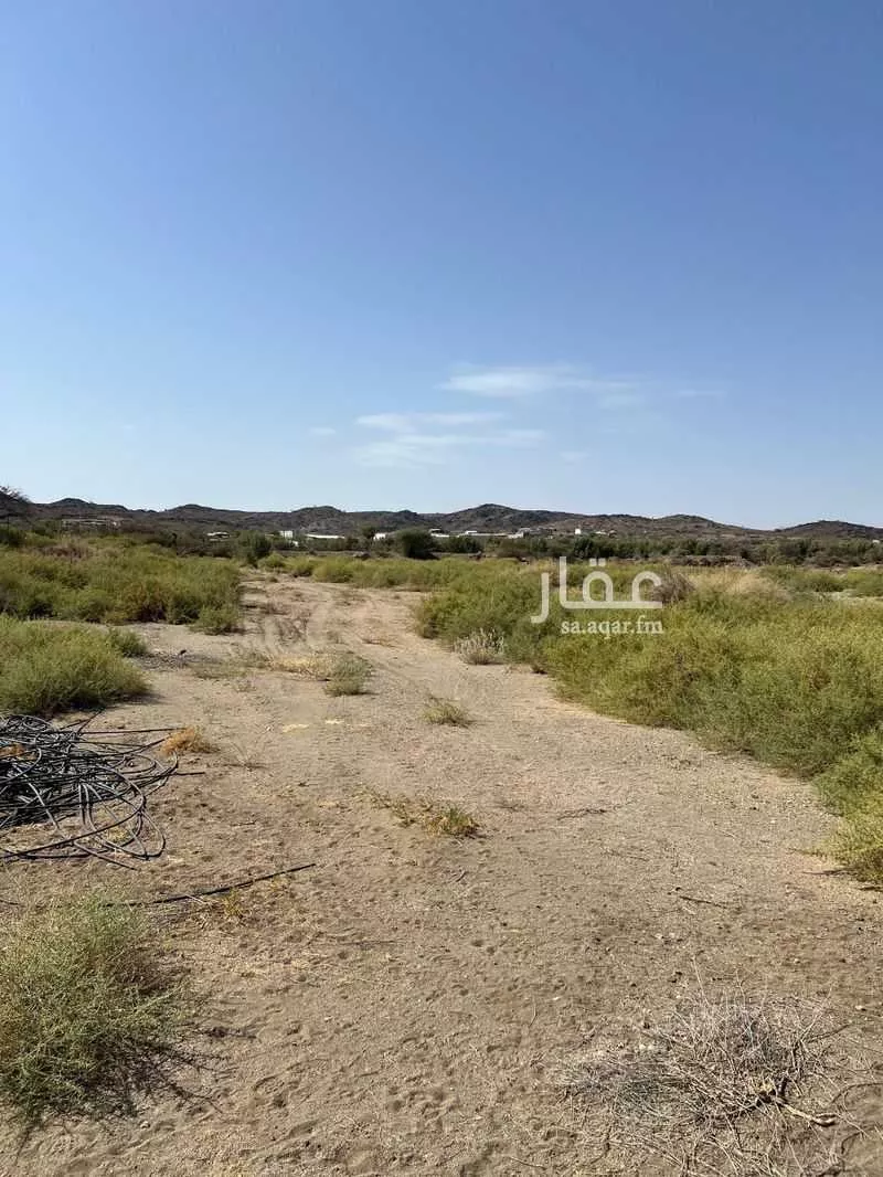 مزرعة للبيع في شارع قنة وقدان 2 ، حي قنة وقدان ، الطائف ، الطائف 1 صورة