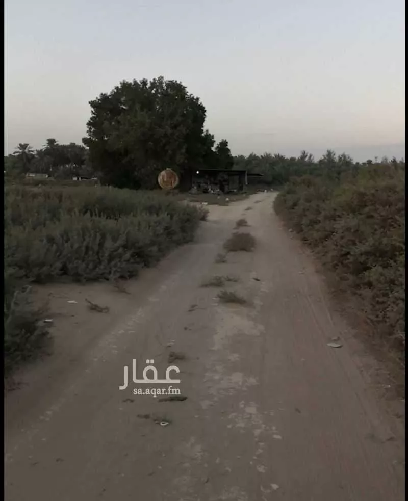 مزرعة للبيع في شارع نعجان, مدينة الخرج, منطقة الرياض 1 صورة
