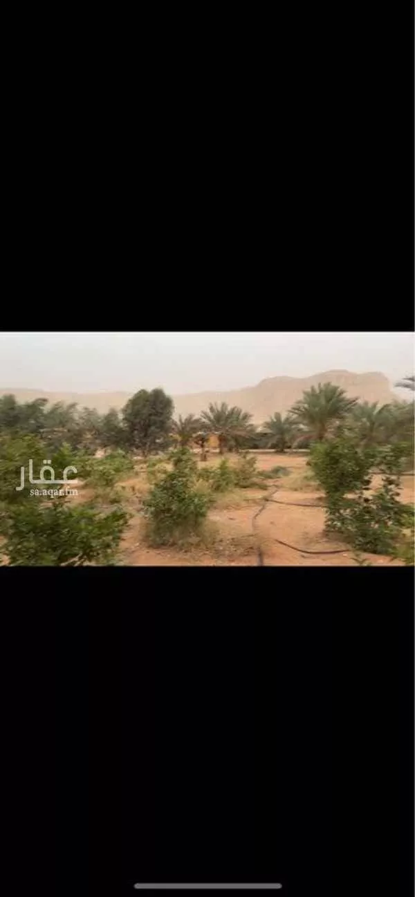 شاليه واستراحة للحجز في شارع قريه ديراب 468 ، ضرما ، المزاحمية 1 صورة