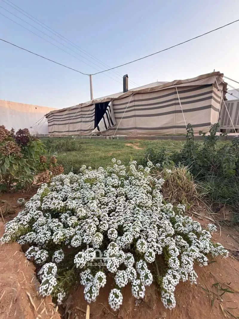 استراحة للإيجار في شارع هجرة الاوسط 902, حي تجمع سكاني الحنية, مدينة تجمع سكاني الحنية, منطقة الرياض 1 صورة