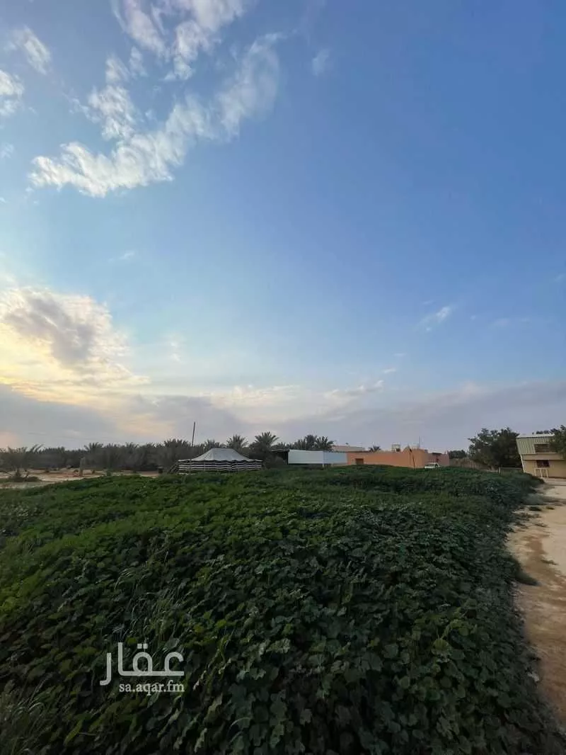 مزرعة للبيع في حي مزارع قصر سعود (السحق), مدينة مزارع قصر سعود (السحق), منطقة الرياض 1 صورة