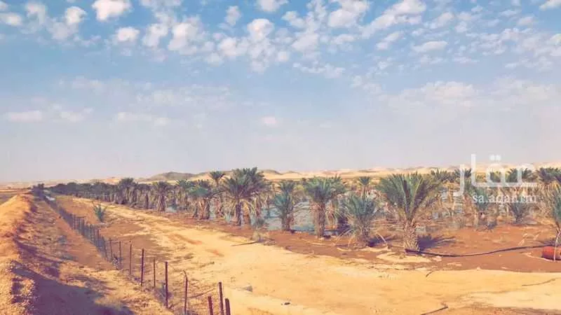 أرض للإيجار في حي مزارع الحماده, مدينة مزارع الحماده, منطقة الرياض 1 صورة