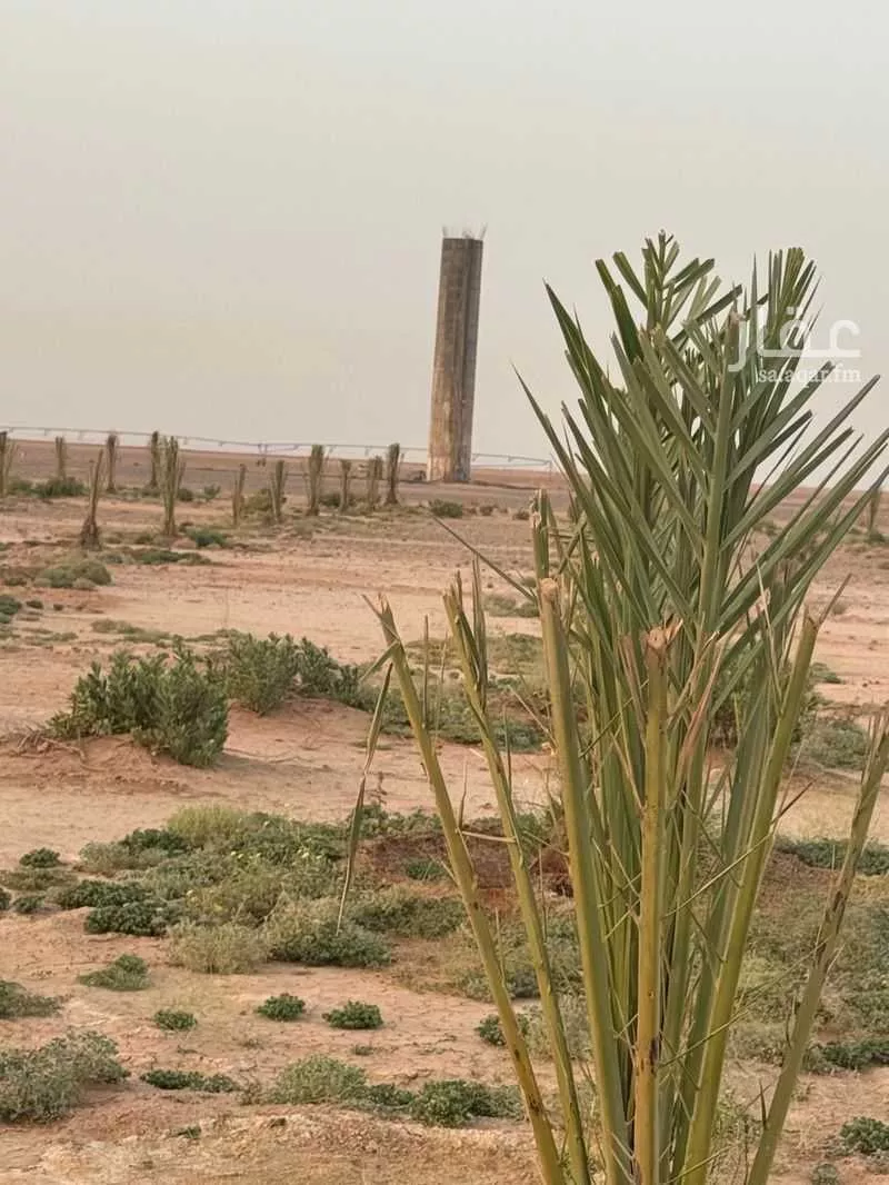 مزرعة للبيع في شارع الفويلق الشمالي 65 ، الربواء ، القويعية 1 صورة