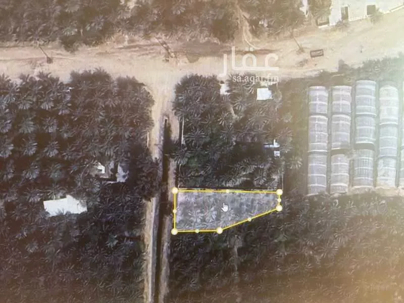 مزرعة للبيع في شارع البساتين2, حي البساتين2, مدينة الاحساء, المنطقة الشرقية 1 صورة