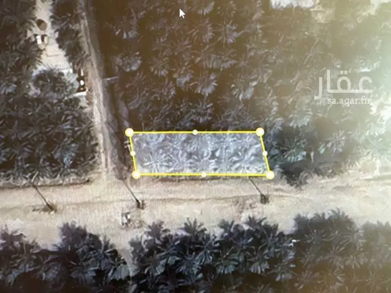 مزرعة للبيع في شارع البساتين2, حي البساتين2, مدينة الاحساء, المنطقة الشرقية 1 صورة