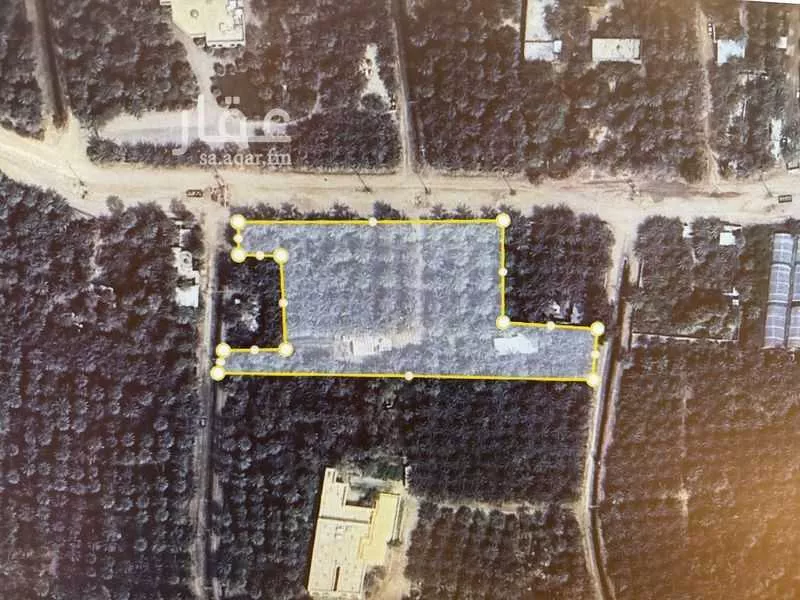 مزرعة للبيع في شارع البساتين2, حي البساتين2, مدينة الاحساء, المنطقة الشرقية 1 صورة