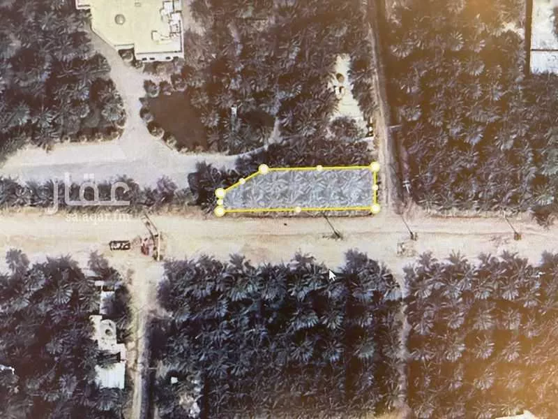 مزرعة للبيع في شارع البساتين2, حي البساتين2, مدينة الاحساء, المنطقة الشرقية 1 صورة