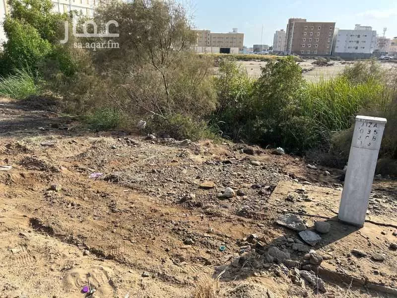 أرض للإيجار في شارع 22996100, حي الصفاء, مدينة جازان, منطقة جازان 1 صورة