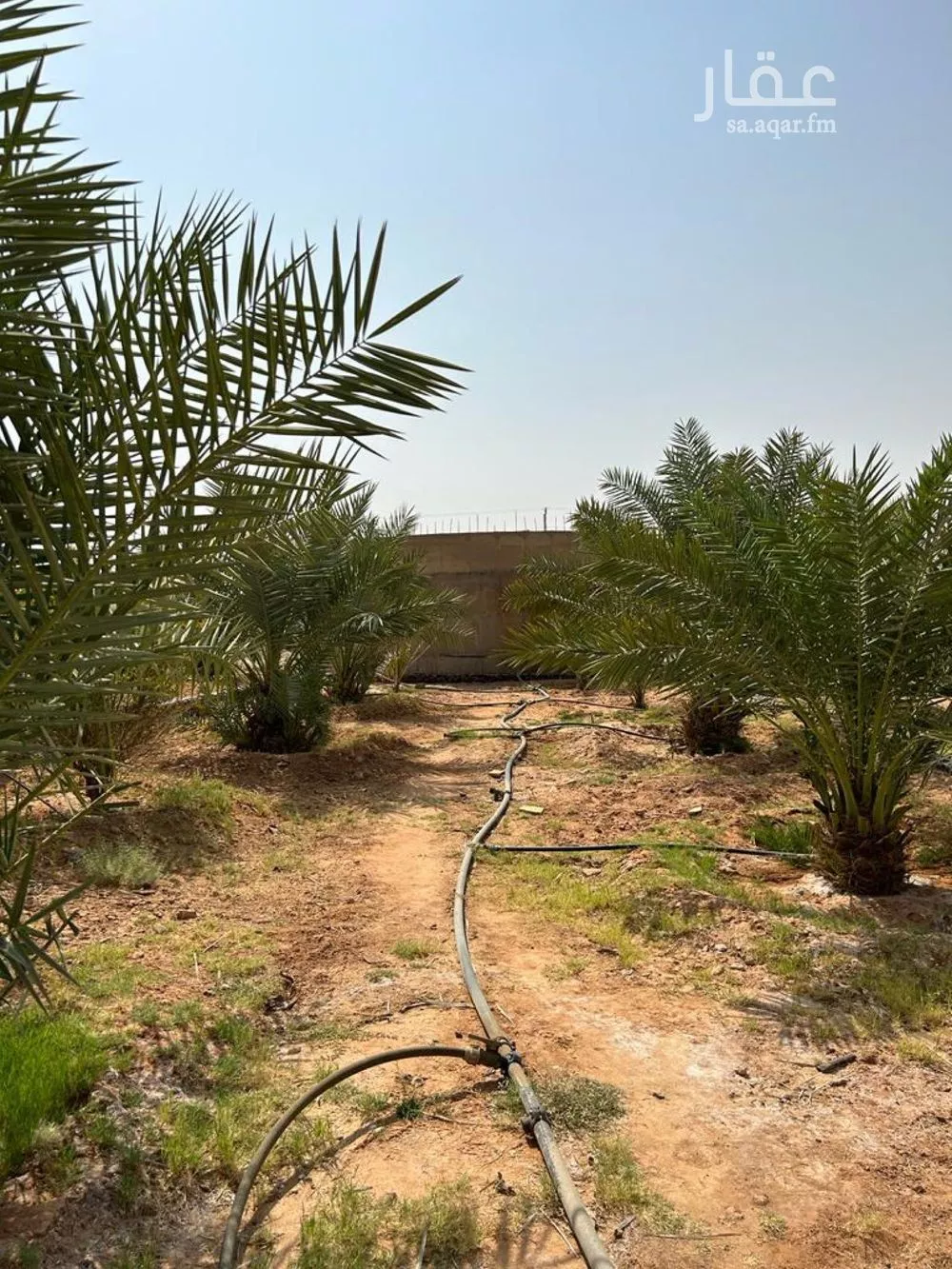 مزرعة للبيع في حي المشاعله, مدينة المشاعله, منطقة الرياض 1 صورة