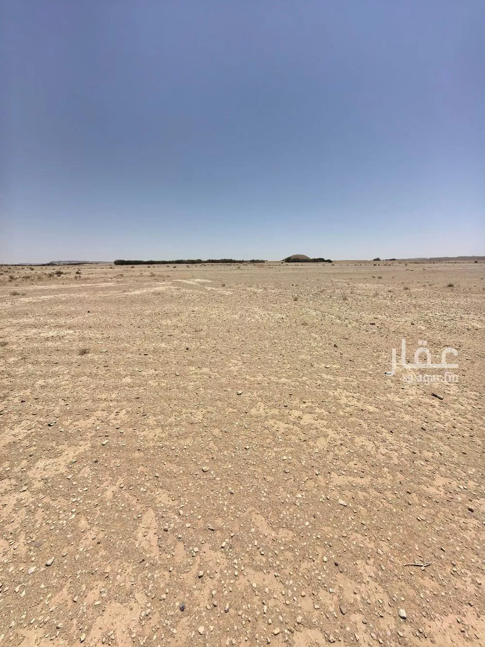 أرض للبيع في شارع شارع الملك فيصل, حي مزارع قصر سعود (السحق), مدينة مزارع قصر سعود (السحق), منطقة الرياض 1 صورة