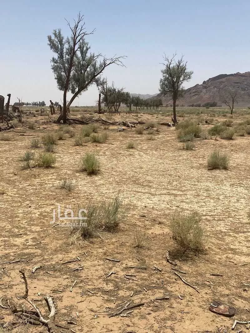 مزرعة للبيع في حي العموده الشماليه والجنوبيه, مدينة العموده الشماليه والجنوبيه, منطقة القصيم 1 صورة