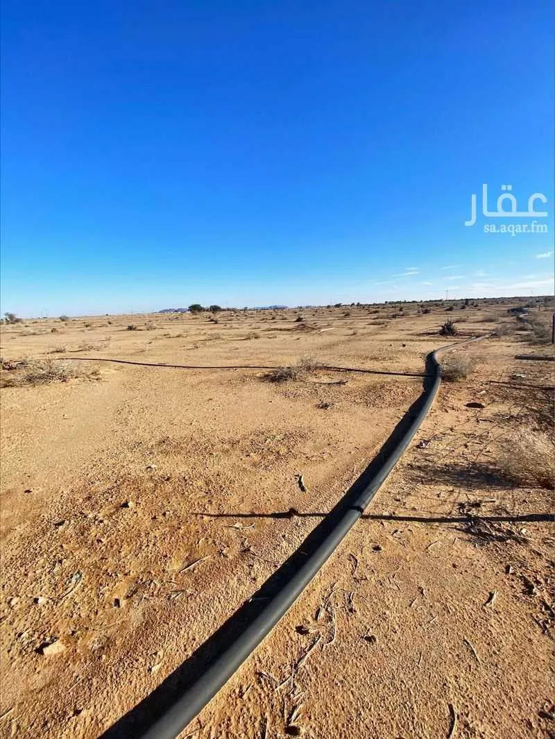 مزرعة للبيع في حي الهبيريه والجريد الشمالي, مدينة الهبيريه والجريد الشمالي, منطقة القصيم 1 صورة