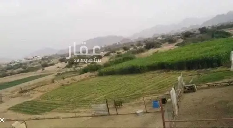 مزرعة للبيع في حي قرن صيدان, مدينة قرن صيدان, منطقة عسير 1 صورة