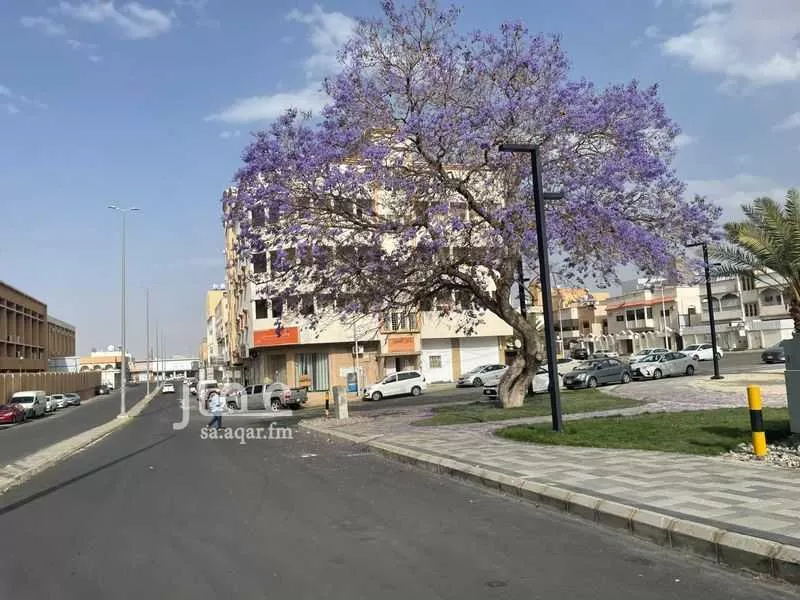 شقة للإيجار في شارع بريدة, حي ضمك, مدينة خميس مشيط, منطقة عسير 1 صورة