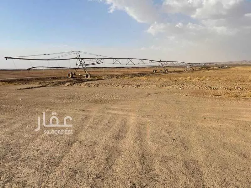 أرض للبيع في حي منطقة الخدمات أ, مدينة تبوك, منطقة تبوك 1 صورة