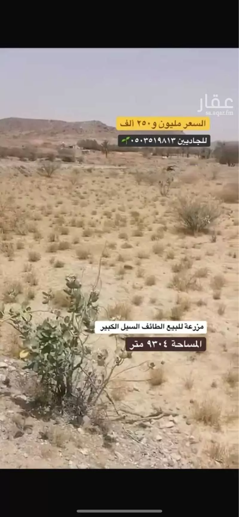 مزرعة للبيع في شارع السيل الكبير , حي السيل الكبير, مدينة امارة منطقة مكة المكرمة - الطائف, منطقة مكة المكرمة 1 صورة