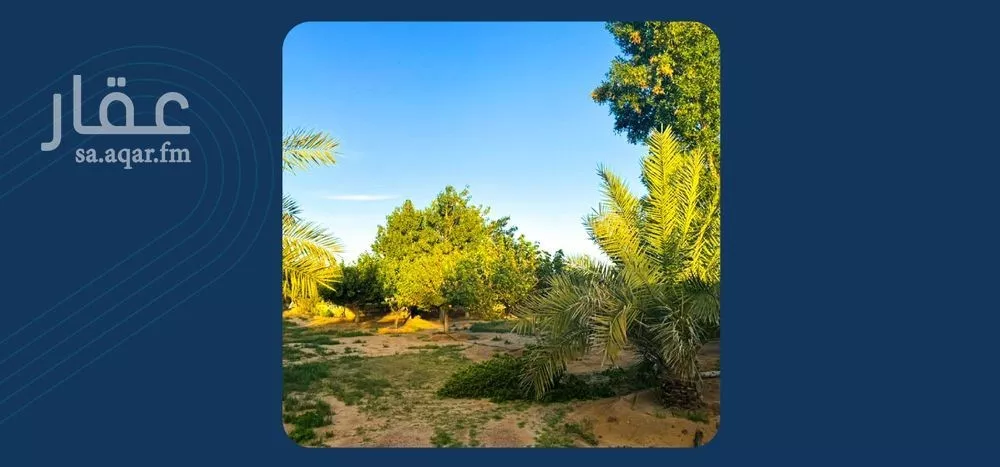 مزرعة للبيع في شارع شارع , مدينة عيون الجواء, منطقة القصيم 1 صورة