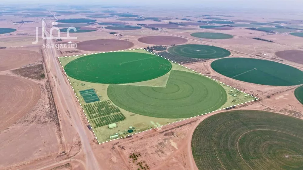 مزرعة للبيع في شارع شارع , حي السحل, مدينة السحل, منطقة حائل 1 صورة