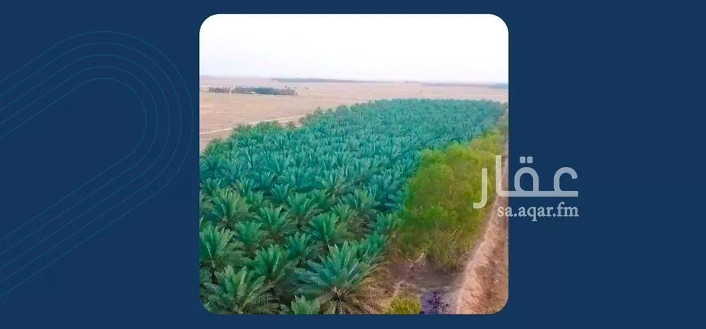 مزرعة للبيع في شارع ترابي, حي مزارع شرق البطين, مدينة مزارع شرق البطين, منطقة القصيم 1 صورة