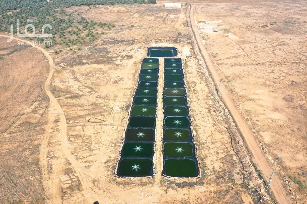 مزرعة للبيع في شارع طريق زراعي , حي مزارع عنز, مدينة مزارع عنز, منطقة القصيم 1 صورة