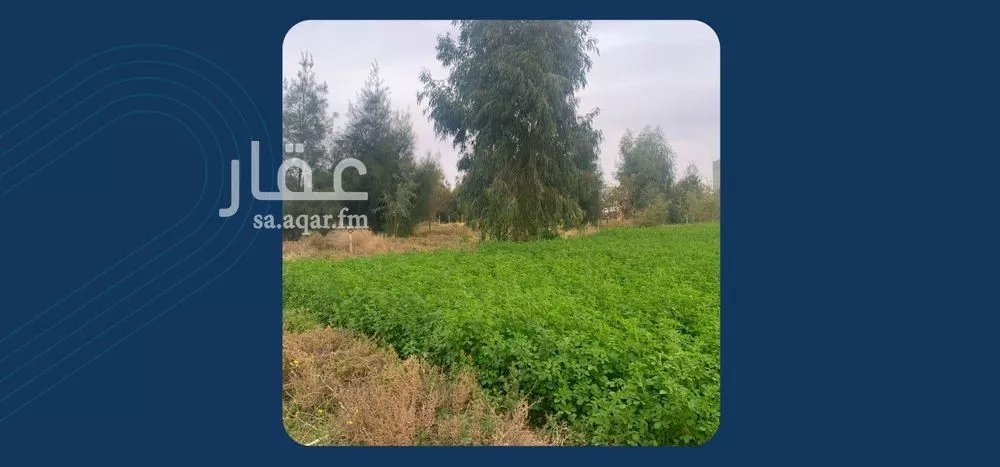 أرض للبيع في شارع ترابي, حي الودى, مدينة ودي الحزم الودي, منطقة حائل 1 صورة