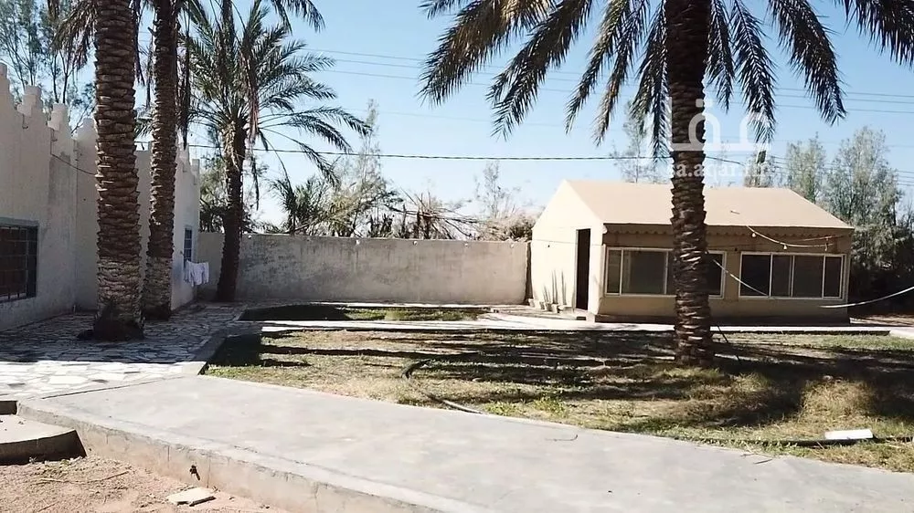 مزرعة للبيع في شارع شارع , حي فيضه بن حميد, مدينة فيضه بن حميد, منطقة القصيم 1 صورة