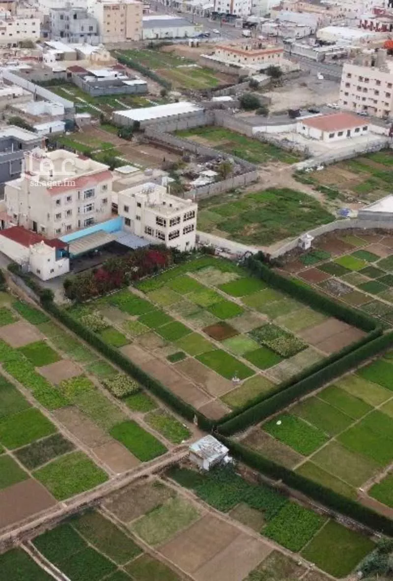 فيلا للإيجار في شارع شباعة 70, حي شباعة, مدينة خميس مشيط, منطقة عسير 1 صورة