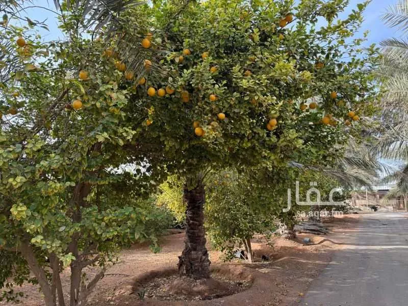استراحة للبيع في شارع كمال البغدادي, حي تبراك, مدينة الجلة, منطقة الرياض 1 صورة