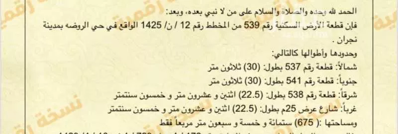 أرض للبيع في شارع 1619435, حي الروضة, مدينة نجران, منطقة نجران 1 صورة