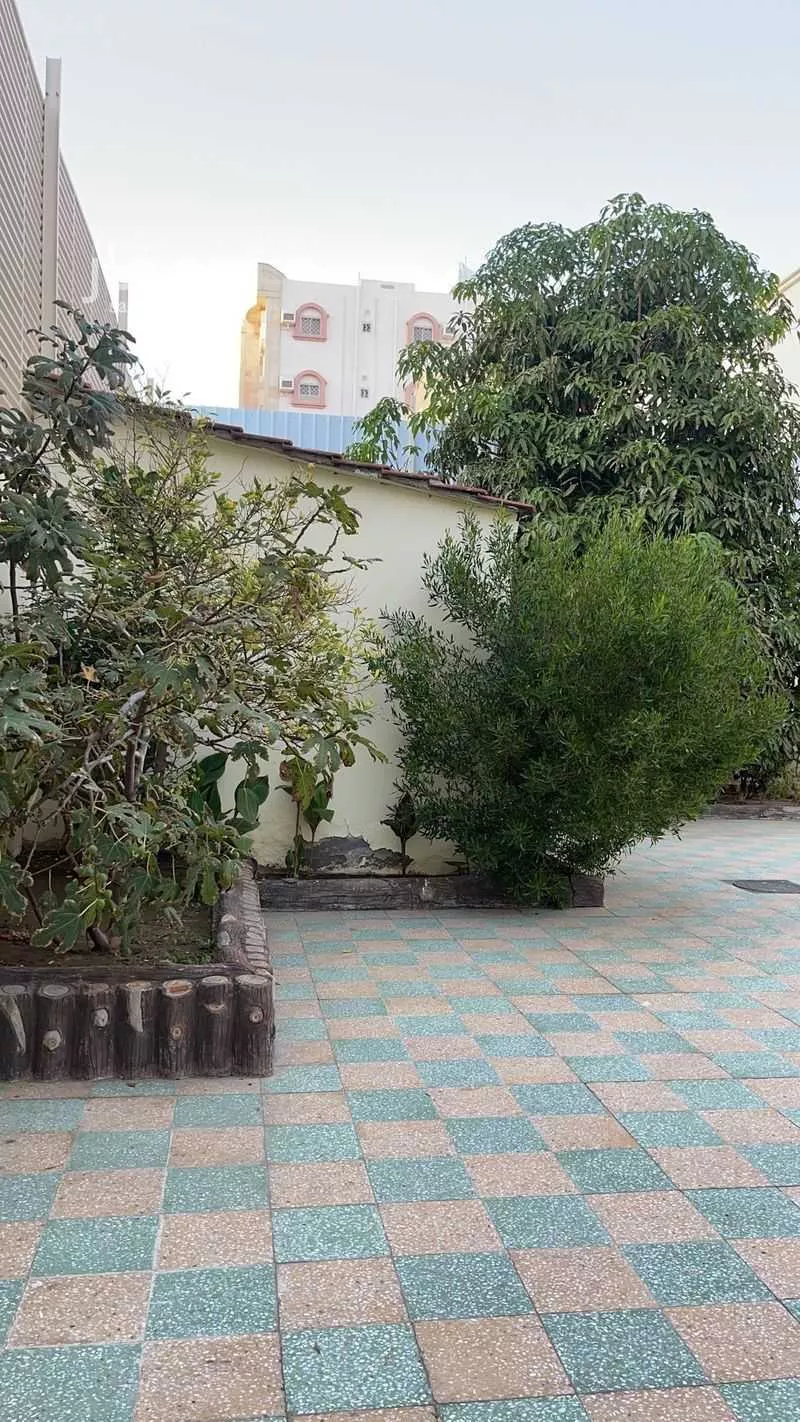 عمارة للبيع في شارع ابن محمود العماد ، حي الحلقة الغربية ، الطائف ، الطائف 1 صورة