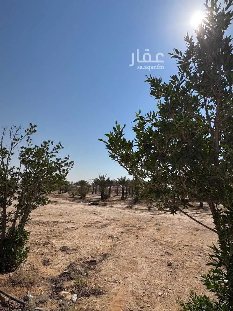 أرض للإيجار في شارع الملك عبدالله, حي ملهم, مدينة ملهم, منطقة الرياض 1 صورة