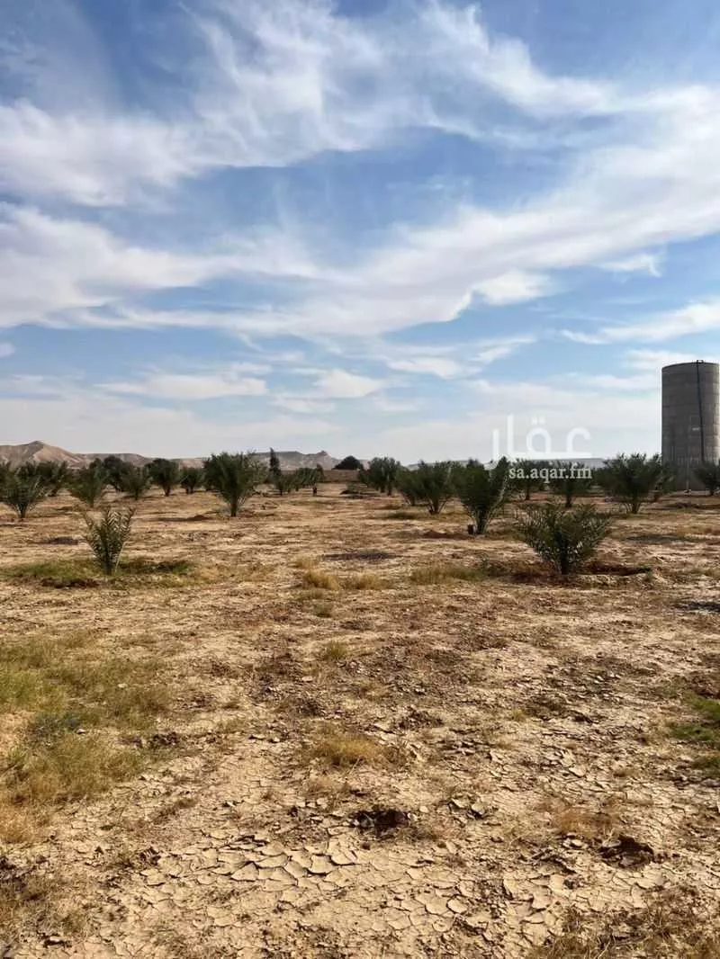 مزرعة للبيع في شارع مزرعه, حي مزارع الداهنه (القويطير الادني), مدينة مزارع الداهنه (القويطير الادني), منطقة الرياض 1 صورة