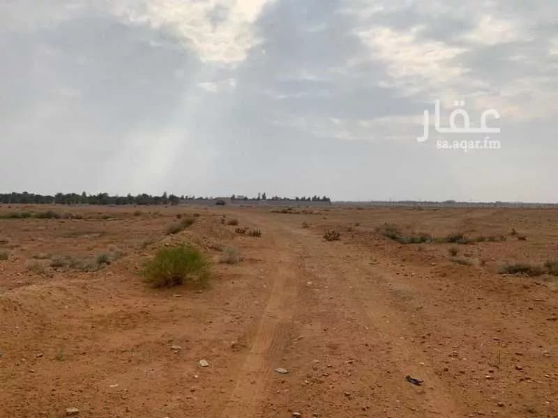 أرض للإيجار في شارع الرياض سدير القصيم القديم, دقلة 1 صورة