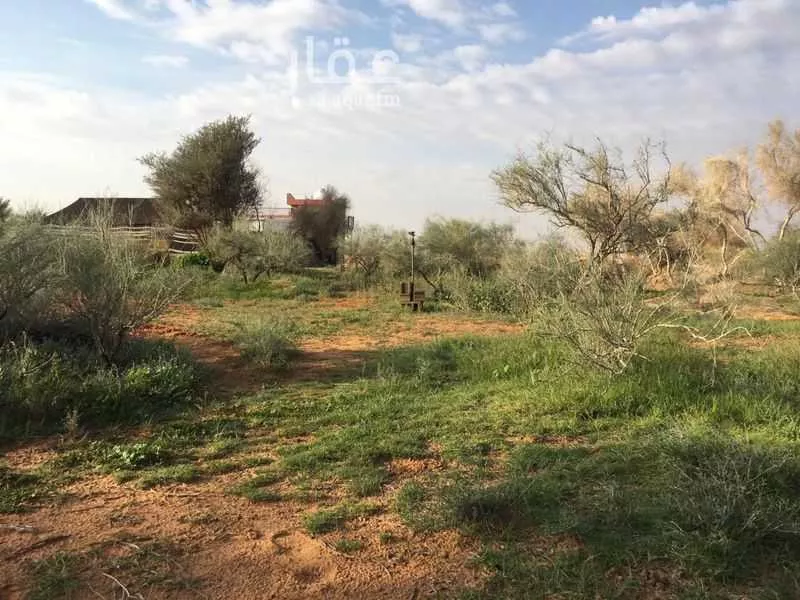 مزرعة للبيع في شارع لا يوجد مسمى, حي الملك فيصل, مدينة جلاجل, منطقة الرياض 1 صورة